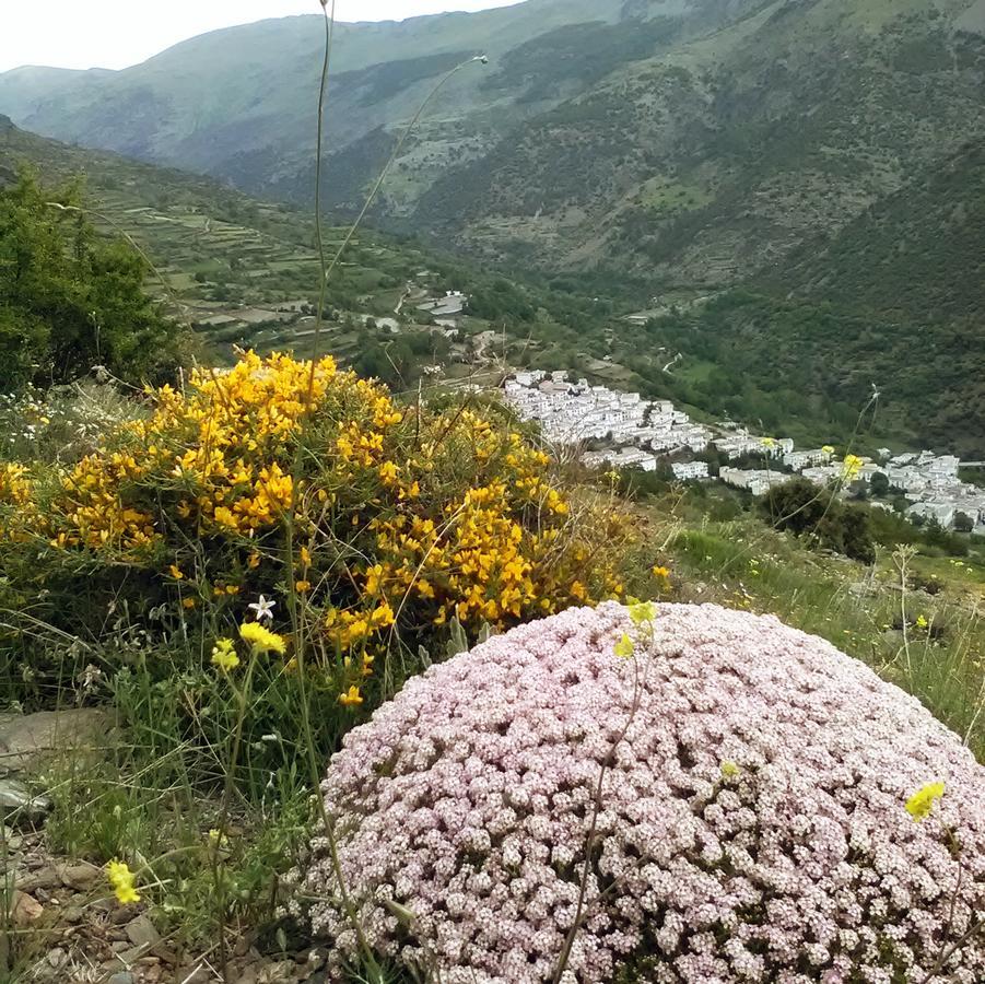 Bed and Breakfast Refugio Alpujarra Alta à Trevélez Extérieur photo