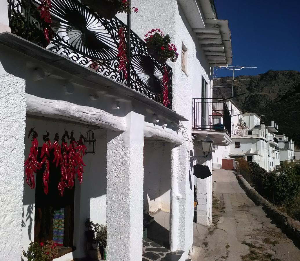 Bed and Breakfast Refugio Alpujarra Alta à Trevélez Extérieur photo